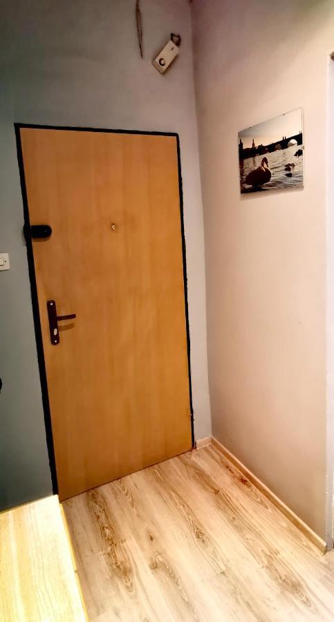 Apartament Milka W Dusznikach Zdroju Duszniki Zdroj Exterior photo